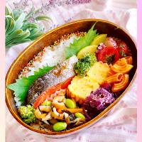 🌿‬今日の『鮭弁当』🌿